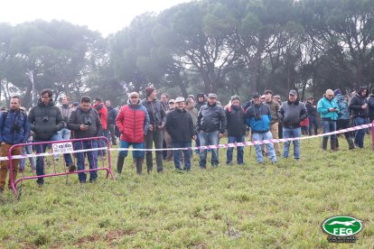 Semifinales del Nacional de Galgos en Nava del Rey. -JACI NAVAS