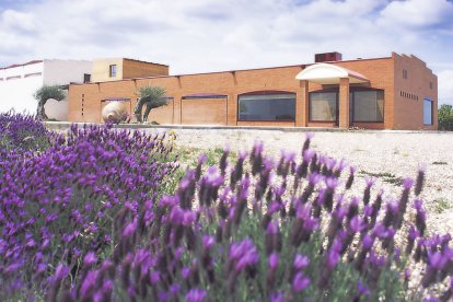 Bodega Cyan, en la DO Toro. B. F. M.