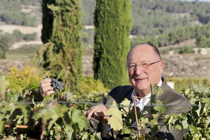 Carlos Moro, presidente de Bodegas Familiares Matarromera, observa una viña en la Bodega
de la Bodega Emina Ribera del Duero. PHOTOGENIC / M. A. SANTOS