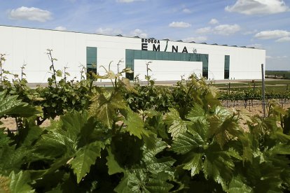 Fachada exterior de la Bodega Emina Rueda, en la DO Rueda. B. F. M.