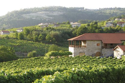Bodega Sanclodio, en la DO Riberiro. B. F. M.