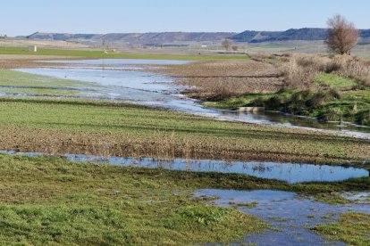 El río Esgueva se desborda en Olmos de Esgueva. PHOTOGENIC