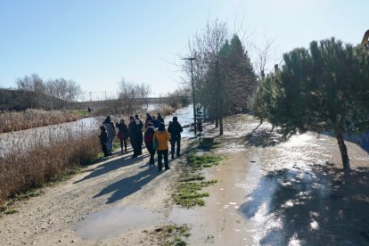 Inundaciones por la crecida del río Zapardiel en Medina del Campo (Valladolid). ICAL