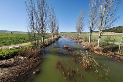 El río Esgueva se desborda en Olmos de Esgueva. PHOTOGENIC