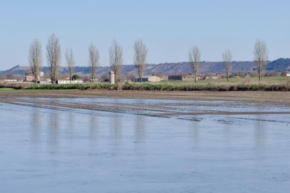 El río Esgueva se desborda en Olmos de Esgueva. PHOTOGENIC