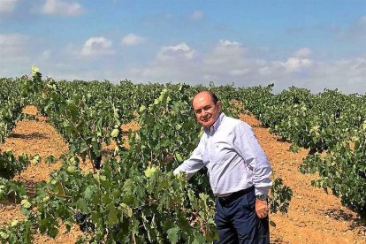 José Luis Rodríguez, presidente de Heredad de Urueña, en uno de los viñedos de la bodega.