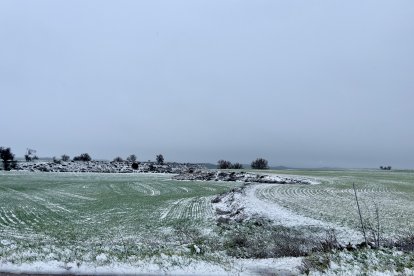 Nieve en la provincia de Valladolid.-PHOTOGENIC