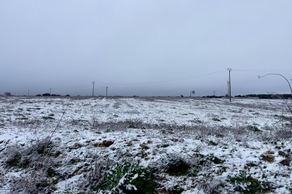 Nieve en la provincia de Valladolid.-PHOTOGENIC