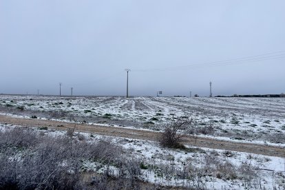 Nieve en la provincia de Valladolid.-PHOTOGENIC
