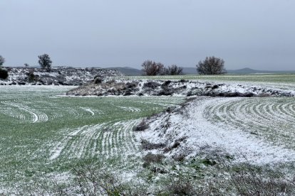 Nieve en la provincia de Valladolid.-PHOTOGENIC