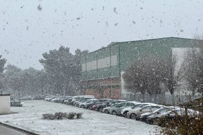 Nieve en Pedrajas. E.M.
