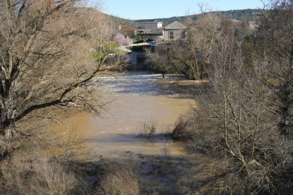Imagen del río Duero a su paso por Quintanilla de Onésimo. -J.M. LOSTAU.