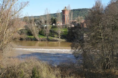 Imagen del río Duero a su paso por Quintanilla de Onésimo. -J.M. LOSTAU.