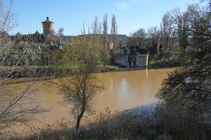 Imagen del río Duero a su paso por Quintanilla de Onésimo. -J.M. LOSTAU.
