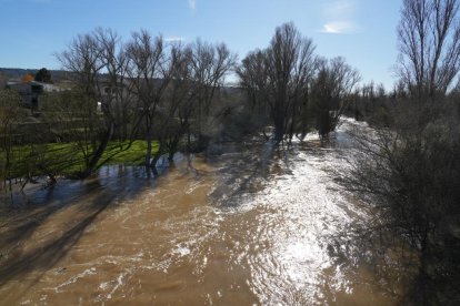 Imagen del río Duero a su paso por Quintanilla de Onésimo. -J.M. LOSTAU.