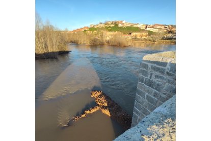 Imagen del puente de Simancas taponado por los troncos arrastrados ante las crecidas. -L.D.L.F
