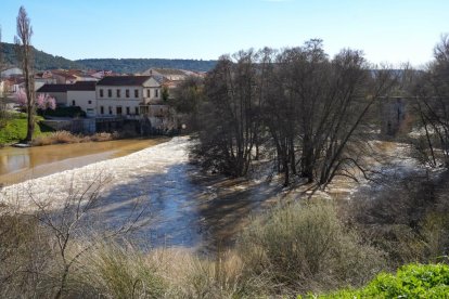 Imagen del río Duero a su paso por Quintanilla de Onésimo. -J.M. LOSTAU.