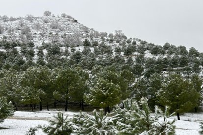 Nieve en Pedrajas. E.M.