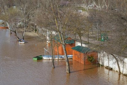 11 03 18 29 Imagen de la crecida del Pisuerga a su paso por la capital. -J.M. LOSTAU.