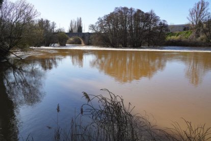 Imagen del río Duero a su paso por Quintanilla de Onésimo. -J.M. LOSTAU.