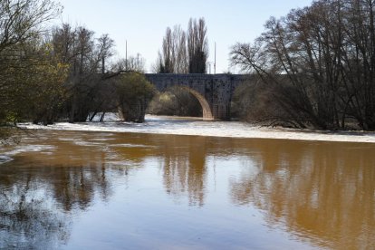Imagen del río Duero a su paso por Quintanilla de Onésimo. -J.M. LOSTAU.