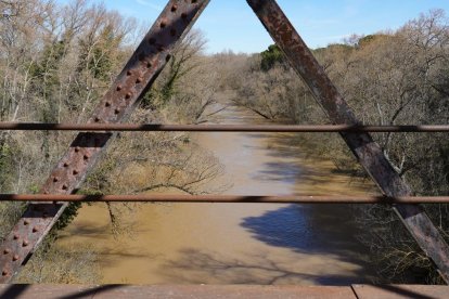 Imagen del río Duero a su paso por Herrera de Duero. -J.M. LOSTAU.
