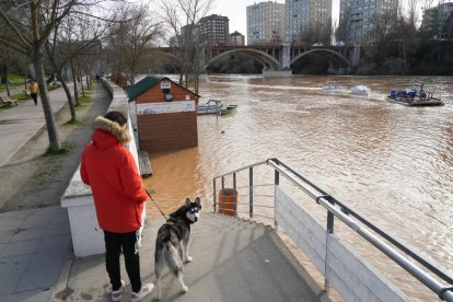 Imagen de la crecida del Pisuerga a su paso por la capital. -J.M. LOSTAU.