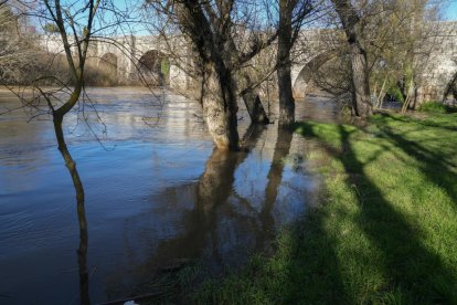 Imagen del río Duero a su paso por Herrera de Duero. -J.M. LOSTAU.