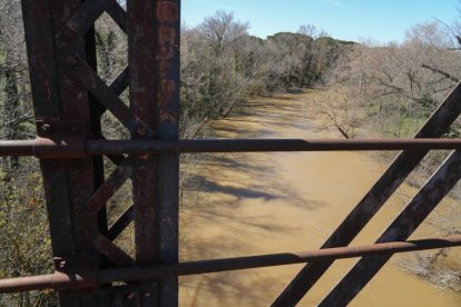 Imagen del río Duero a su paso por Herrera de Duero. -J.M. LOSTAU.