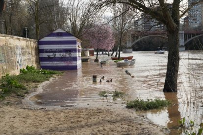 Imagen de la crecida del Pisuerga a su paso por la capital. -J.M. LOSTAU.