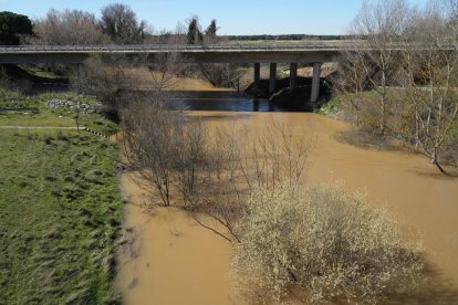 Imagen del río Duero a su paso por Herrera de Duero. -J.M. LOSTAU.