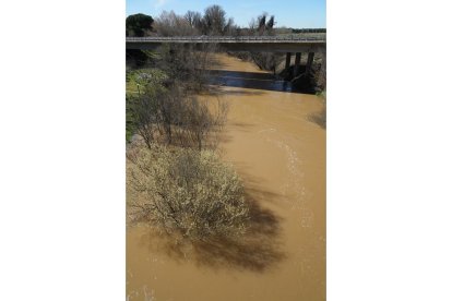 Imagen del río Duero a su paso por Herrera de Duero. -J.M. LOSTAU.