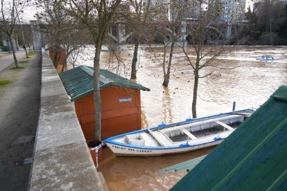 Imagen de la crecida del Pisuerga a su paso por la capital. -J.M. LOSTAU.