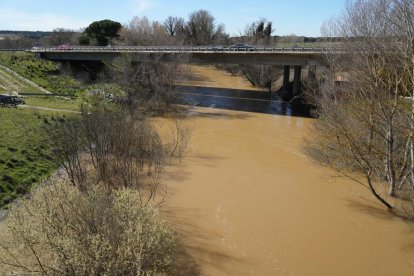 Imagen del río Duero a su paso por Herrera de Duero. -J.M. LOSTAU.