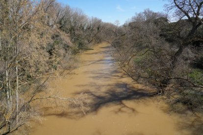 Imagen del río Duero a su paso por Herrera de Duero. -J.M. LOSTAU.