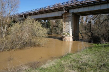Imagen del río Duero a su paso por Herrera de Duero. -J.M. LOSTAU.
