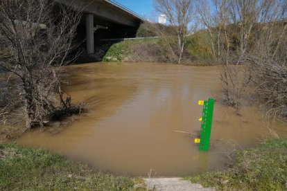 Imagen del río Duero a su paso por Herrera de Duero. -J.M. LOSTAU.