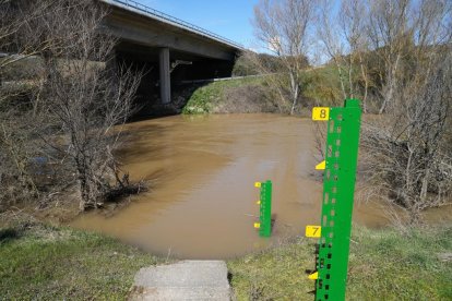 Imagen del río Duero a su paso por Herrera de Duero. -J.M. LOSTAU.