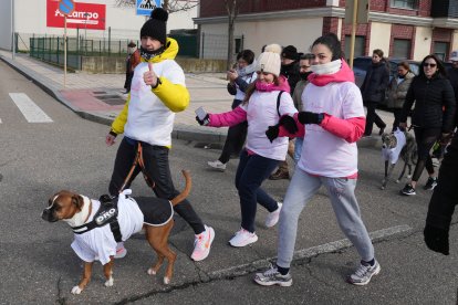 XII Edición de 'Arroyo en Marcha', carrera que recauda fondos contra el cáncer en Arroyo de la Encomienda - J.M. LOSTAU