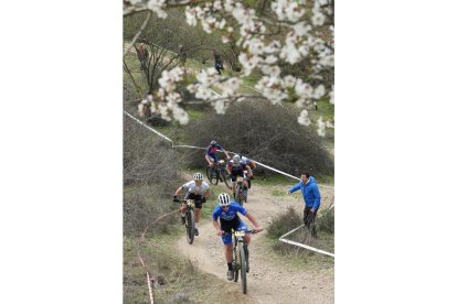 Segunda prueba de la Copa de España BTT en el Cerro de las Contiendas de Valladolid. / JM LOSTAU