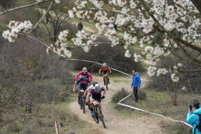 Segunda prueba de la Copa de España BTT en el Cerro de las Contiendas de Valladolid. / JM LOSTAU