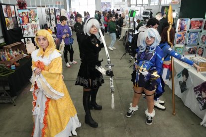 Imagen del Salón del Cómic y el Manga en la Feria de Valladolid. J.M. LOSTAU.
