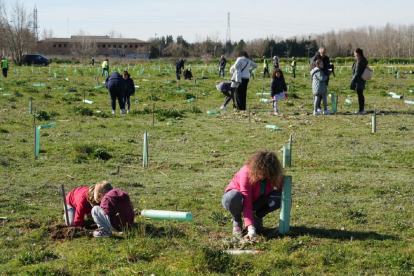 Plantación de 
 árboles en el bosque urbano de la urbanización de Santa Ana
 J.M. LOSTAU