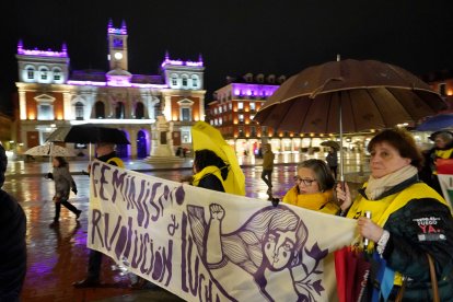 Manifestación del 8M en Valladolid. -ICAL