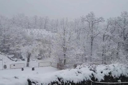 Rescatan a 38 alumnos vallisoletanos de las fuertes nevadas en Zamora - FUNDACIÓN EUSEBIO SACRISTÁN