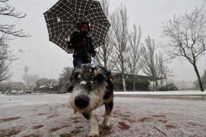 Nieve en Laguna de Duero.- PHOTOGENIC