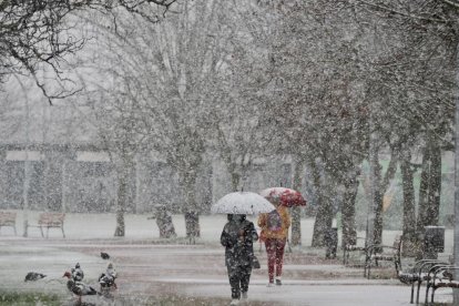 Nieve en Laguna de Duero.- PHOTOGENIC