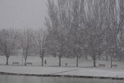 Nieve en Laguna de Duero.- PHOTOGENIC