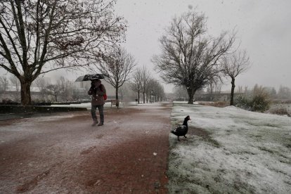 Nieve en Laguna de Duero.- PHOTOGENIC