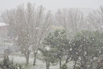 Nieve en Laguna de Duero.- PHOTOGENIC